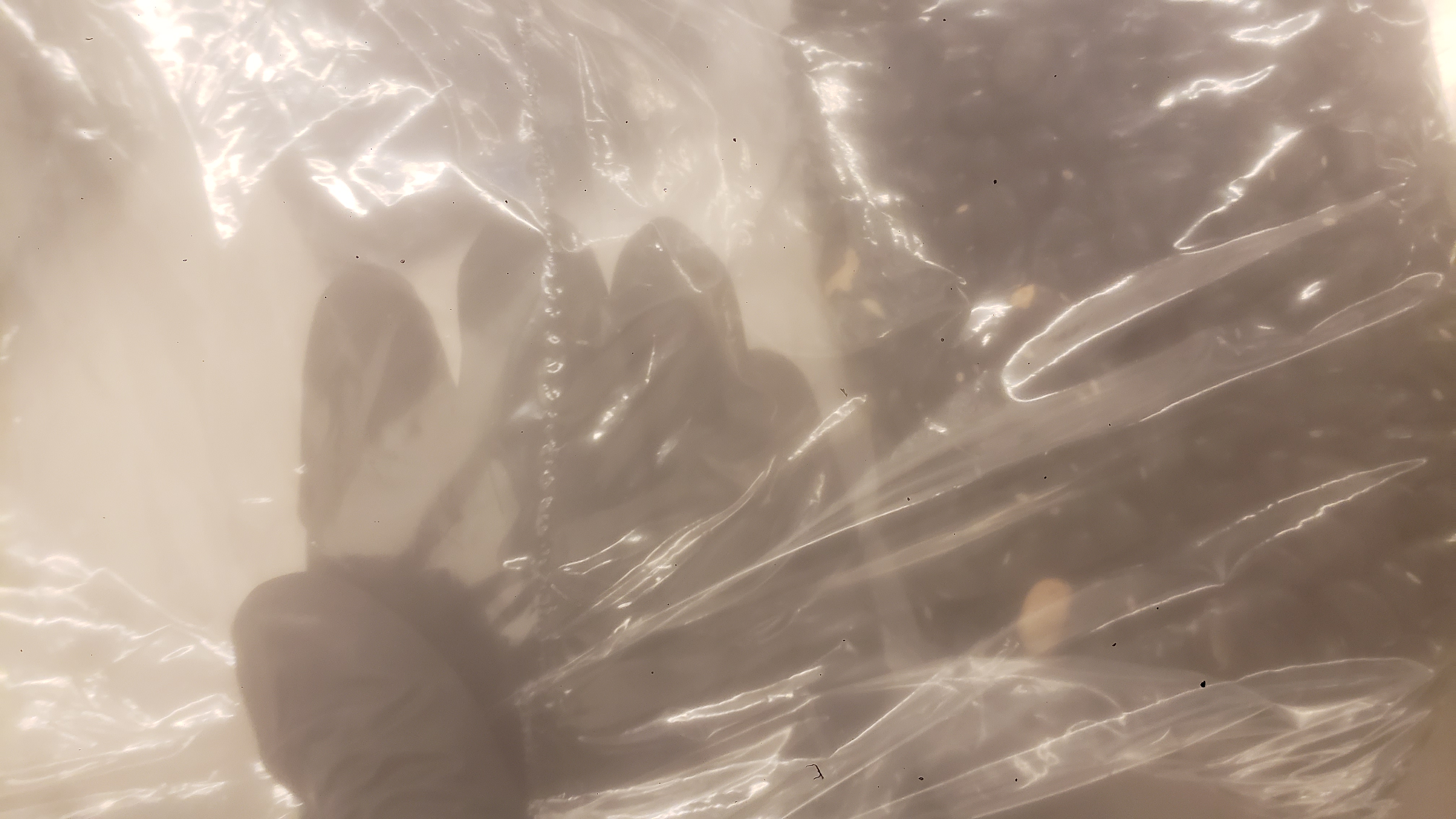 A black glove shows off a seal on a bag of black beans.